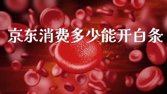 京东消费多少能开白条_https://wap.apzhendong.com_期货直播_第1张