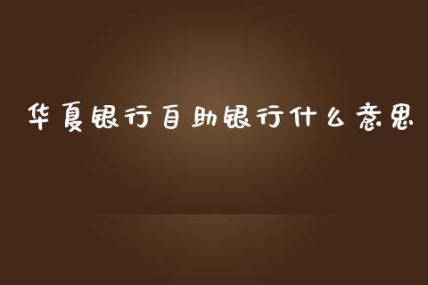 华夏银行自助银行什么意思_https://wap.apzhendong.com_投资理财_第1张