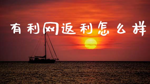 有利网返利怎么样_https://wap.apzhendong.com_今日财经_第1张
