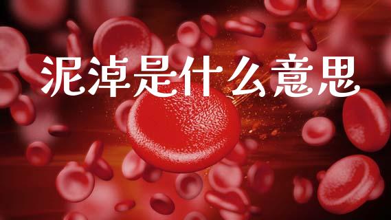 泥淖是什么意思_https://wap.apzhendong.com_投资理财_第1张