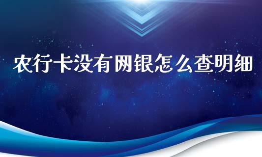 农行卡没有网银怎么查明细_https://wap.apzhendong.com_美股行情_第1张