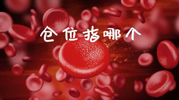 仓位指哪个_https://wap.apzhendong.com_美股行情_第1张