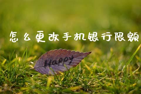 怎么更改手机银行限额_https://wap.apzhendong.com_投资理财_第1张