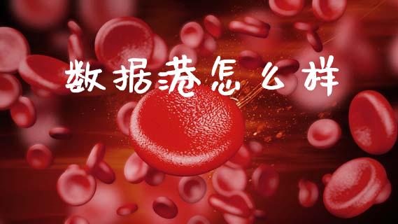 数据港怎么样_https://wap.apzhendong.com_期货直播_第1张