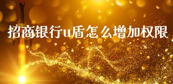 招商银行u盾怎么增加权限_https://wap.apzhendong.com_美股行情_第1张