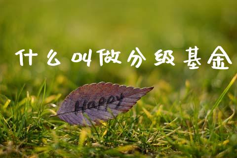 什么叫做分级基金_https://wap.apzhendong.com_期货直播_第1张