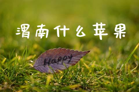 渭南什么苹果_https://wap.apzhendong.com_期货直播_第1张
