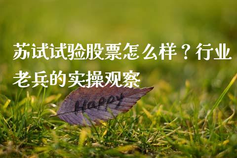苏试试验股票怎么样？行业老兵的实操观察_https://wap.apzhendong.com_投资理财_第1张