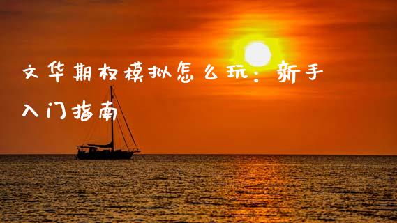 文华期权模拟怎么玩：新手入门指南_https://wap.apzhendong.com_投资理财_第1张