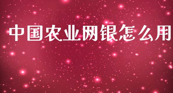 中国农业网银怎么用_https://wap.apzhendong.com_期货直播_第1张
