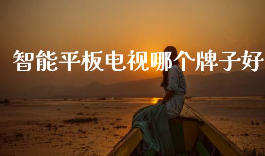 智能平板电视哪个牌子好_https://wap.apzhendong.com_投资理财_第1张