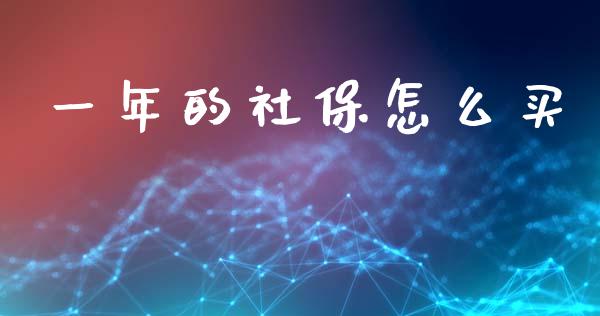 一年的社保怎么买_https://wap.apzhendong.com_今日财经_第1张