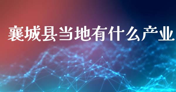 襄城县当地有什么产业_https://wap.apzhendong.com_投资理财_第1张