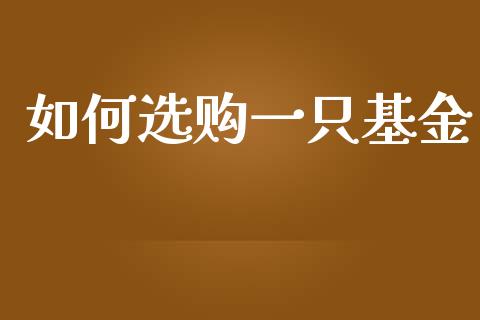 如何选购一只基金_https://wap.apzhendong.com_美股行情_第1张