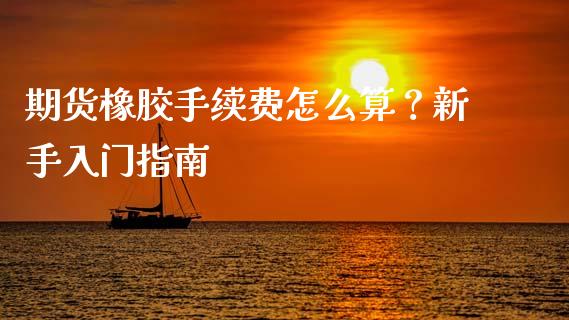 期货橡胶手续费怎么算？新手入门指南_https://wap.apzhendong.com_期货直播_第1张