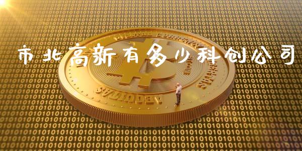 市北高新有多少科创公司_https://wap.apzhendong.com_美股行情_第1张