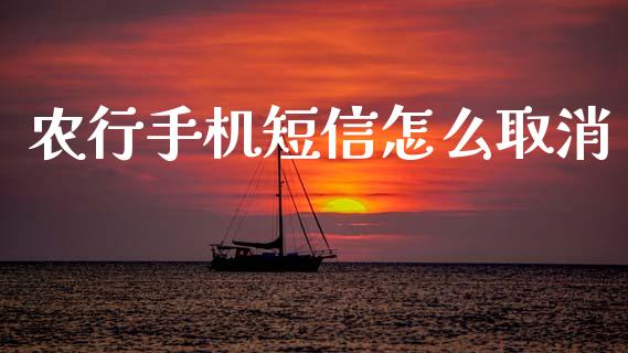 农行手机短信怎么取消_https://wap.apzhendong.com_投资理财_第1张