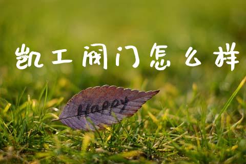 凯工阀门怎么样_https://wap.apzhendong.com_今日财经_第1张