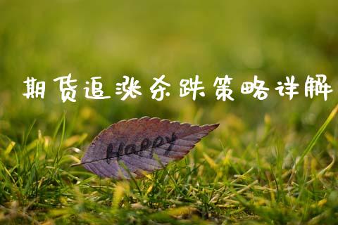 期货追涨杀跌策略详解_https://wap.apzhendong.com_投资理财_第1张