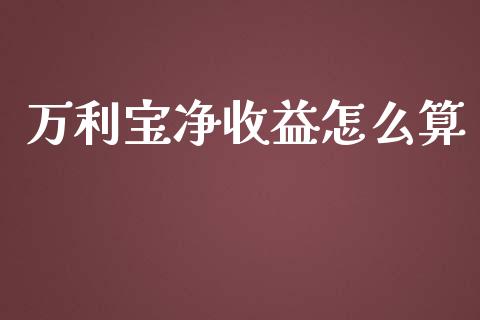 万利宝净收益怎么算_https://wap.apzhendong.com_期货直播_第1张