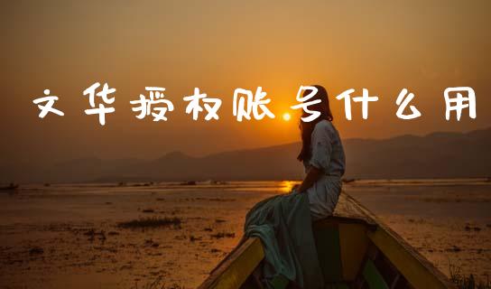 文华授权账号什么用_https://wap.apzhendong.com_今日财经_第1张