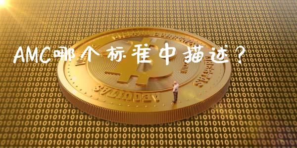 AMC哪个标准中描述？_https://wap.apzhendong.com_美股行情_第1张