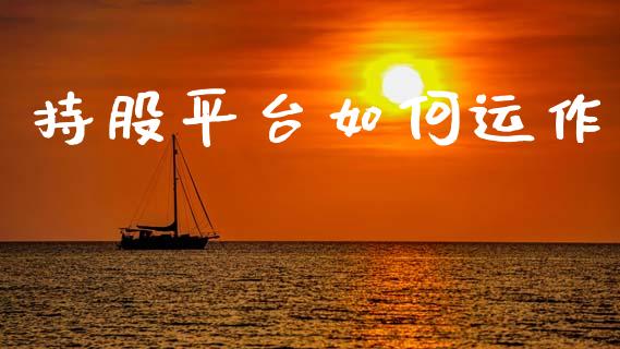 持股平台如何运作_https://wap.apzhendong.com_美股行情_第1张