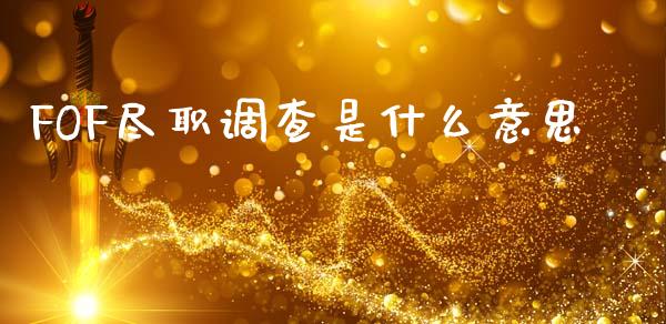 FOF尽职调查是什么意思_https://wap.apzhendong.com_期货直播_第1张
