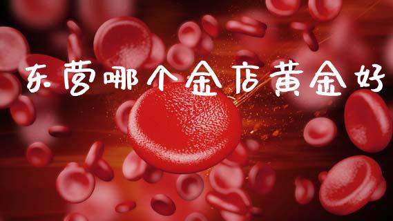 东营哪个金店黄金好_https://wap.apzhendong.com_期货直播_第1张
