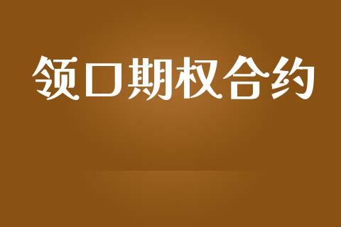 领口期权合约_https://wap.apzhendong.com_投资理财_第1张