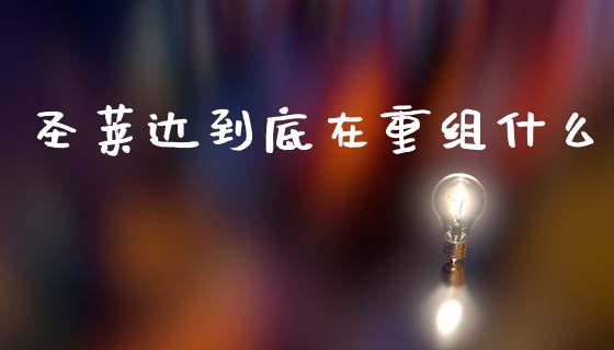 圣莱达到底在重组什么_https://wap.apzhendong.com_投资理财_第1张