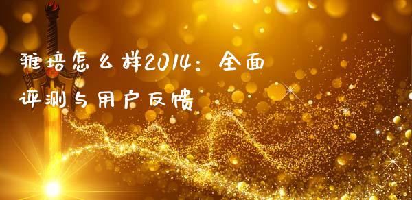 雅培怎么样2014：全面评测与用户反馈_https://wap.apzhendong.com_投资理财_第1张