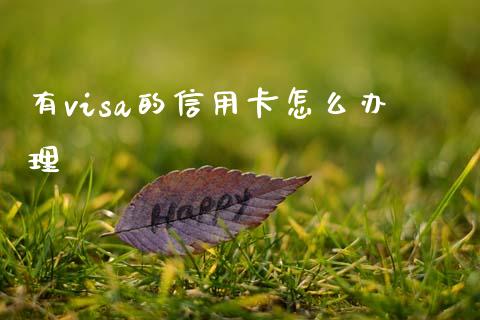 有visa的信用卡怎么办理_https://wap.apzhendong.com_美股行情_第1张