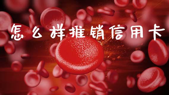 怎么样推销信用卡_https://wap.apzhendong.com_今日财经_第1张