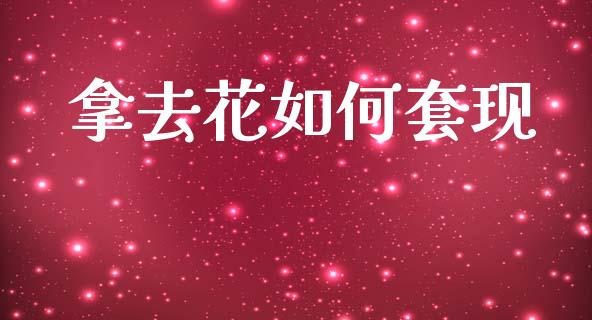 拿去花如何套现_https://wap.apzhendong.com_今日财经_第1张