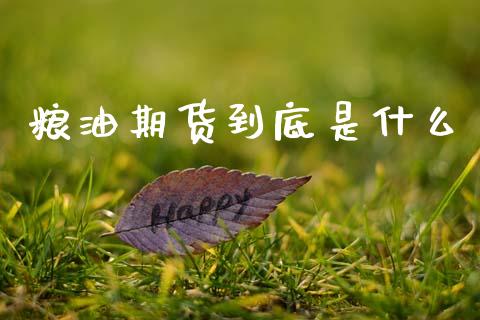 粮油期货到底是什么_https://wap.apzhendong.com_投资理财_第1张