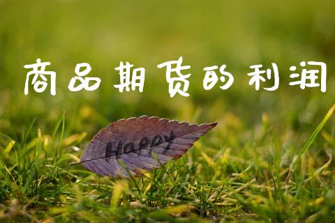 商品期货的利润_https://wap.apzhendong.com_美股行情_第1张
