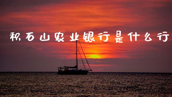 积石山农业银行是什么行_https://wap.apzhendong.com_投资理财_第1张