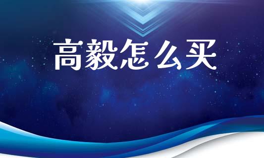 高毅怎么买_https://wap.apzhendong.com_美股行情_第1张