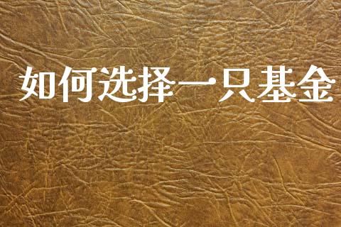 如何选择一只基金_https://wap.apzhendong.com_投资理财_第1张