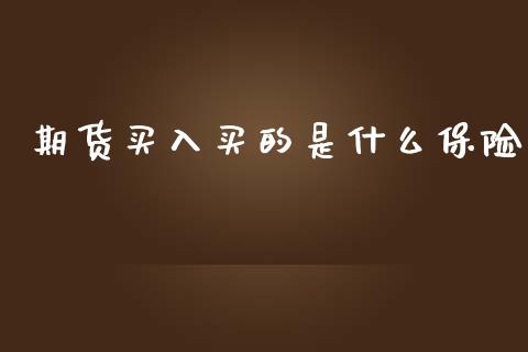 期货买入买的是什么保险_https://wap.apzhendong.com_投资理财_第1张