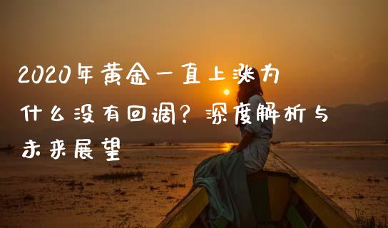 2020年黄金一直上涨为什么没有回调？深度解析与未来展望_https://wap.apzhendong.com_投资理财_第1张