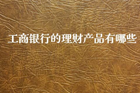 工商银行的理财产品有哪些_https://wap.apzhendong.com_美股行情_第1张