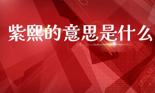紫熙的意思是什么_https://wap.apzhendong.com_今日财经_第1张