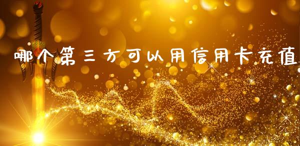 哪个第三方可以用信用卡充值_https://wap.apzhendong.com_投资理财_第1张