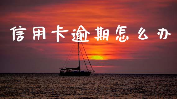 信用卡逾期怎么办_https://wap.apzhendong.com_美股行情_第1张