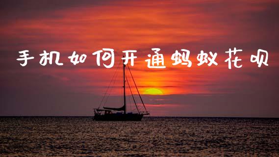手机如何开通蚂蚁花呗_https://wap.apzhendong.com_期货直播_第1张