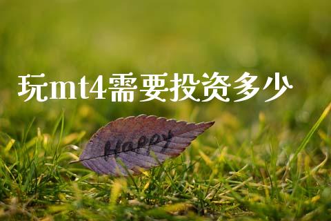 玩mt4需要投资多少_https://wap.apzhendong.com_今日财经_第1张