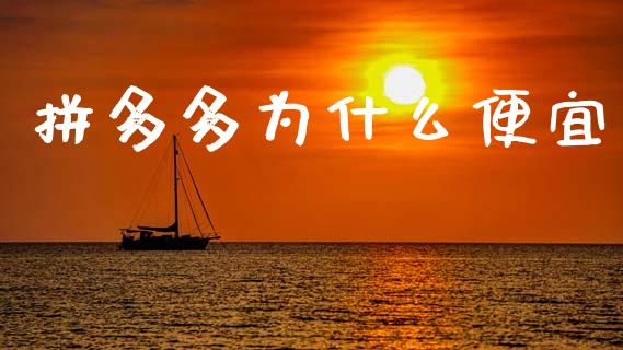拼多多为什么便宜_https://wap.apzhendong.com_今日财经_第1张