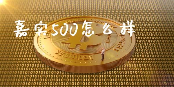 嘉实500怎么样_https://wap.apzhendong.com_期货直播_第1张
